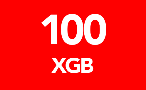 XGB 100